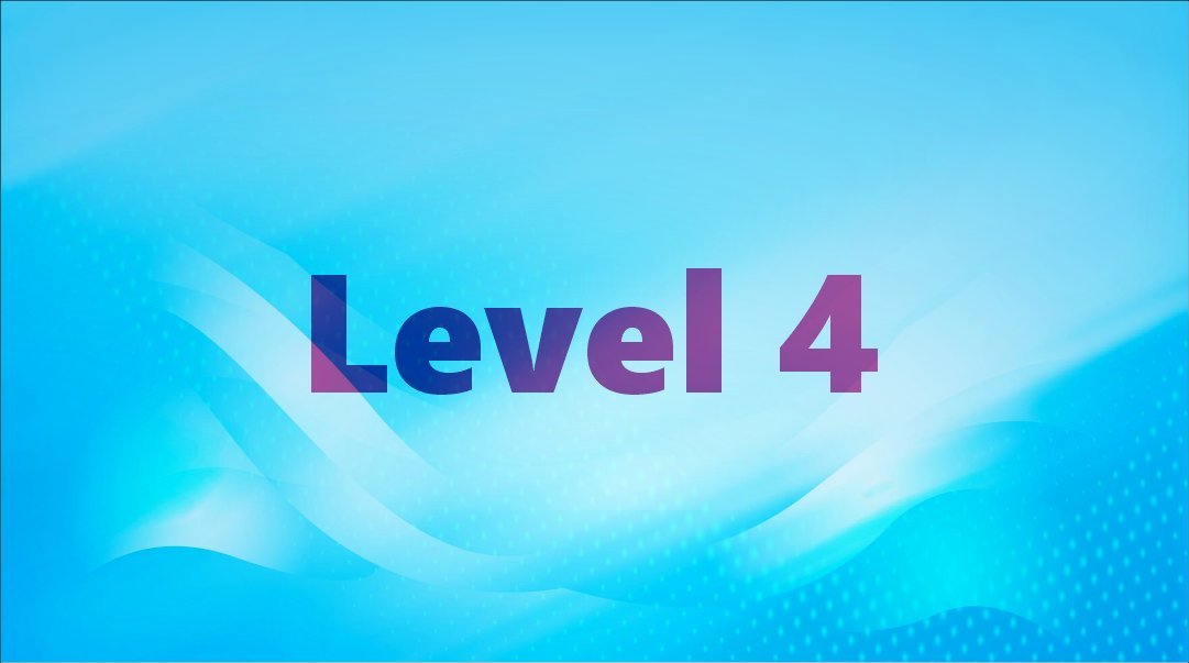 Top Vetted Pro — Level 04